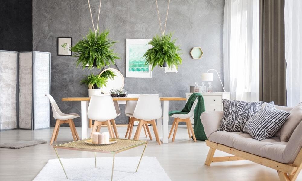 Sustainable home living tips